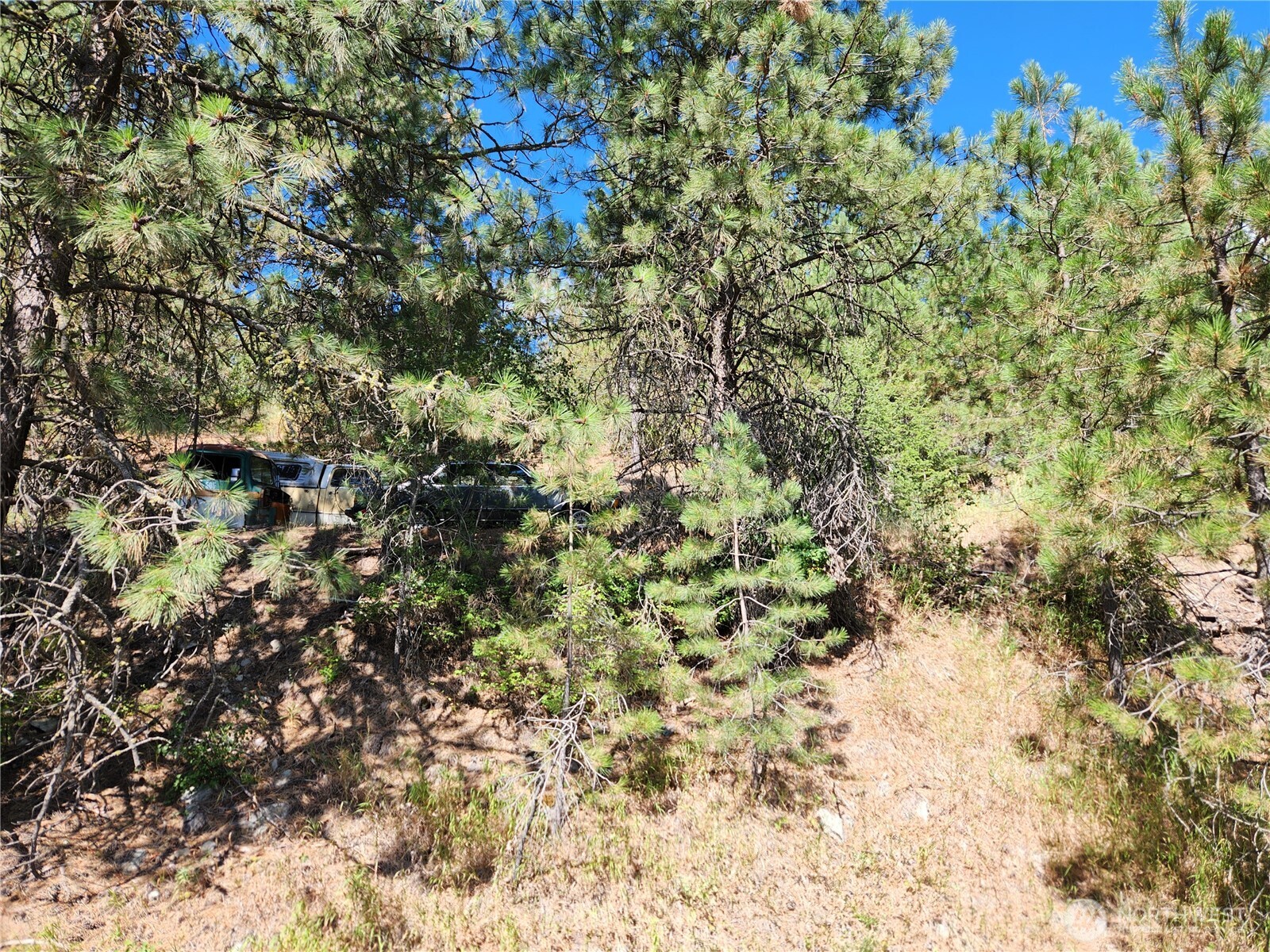 0 Klondike Road Republic WA 99166