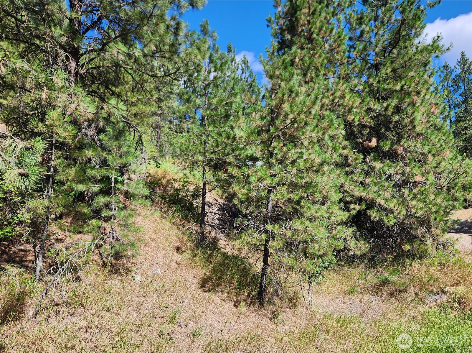 0 Klondike Road Republic WA 99166