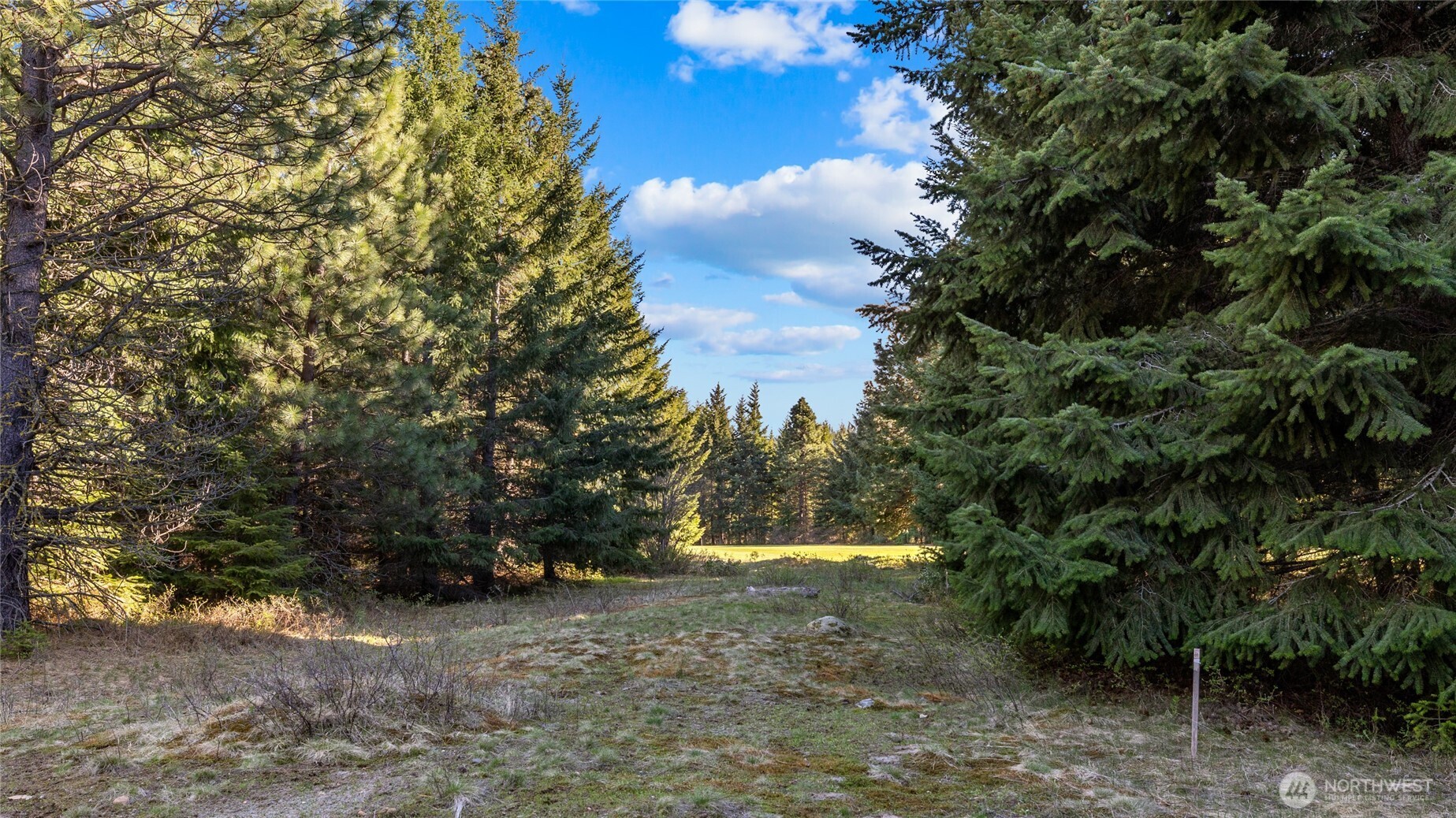 90 Gold Fountain Lane Cle Elum WA 98922