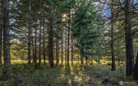 90 Gold Fountain Lane Cle Elum WA 98922
