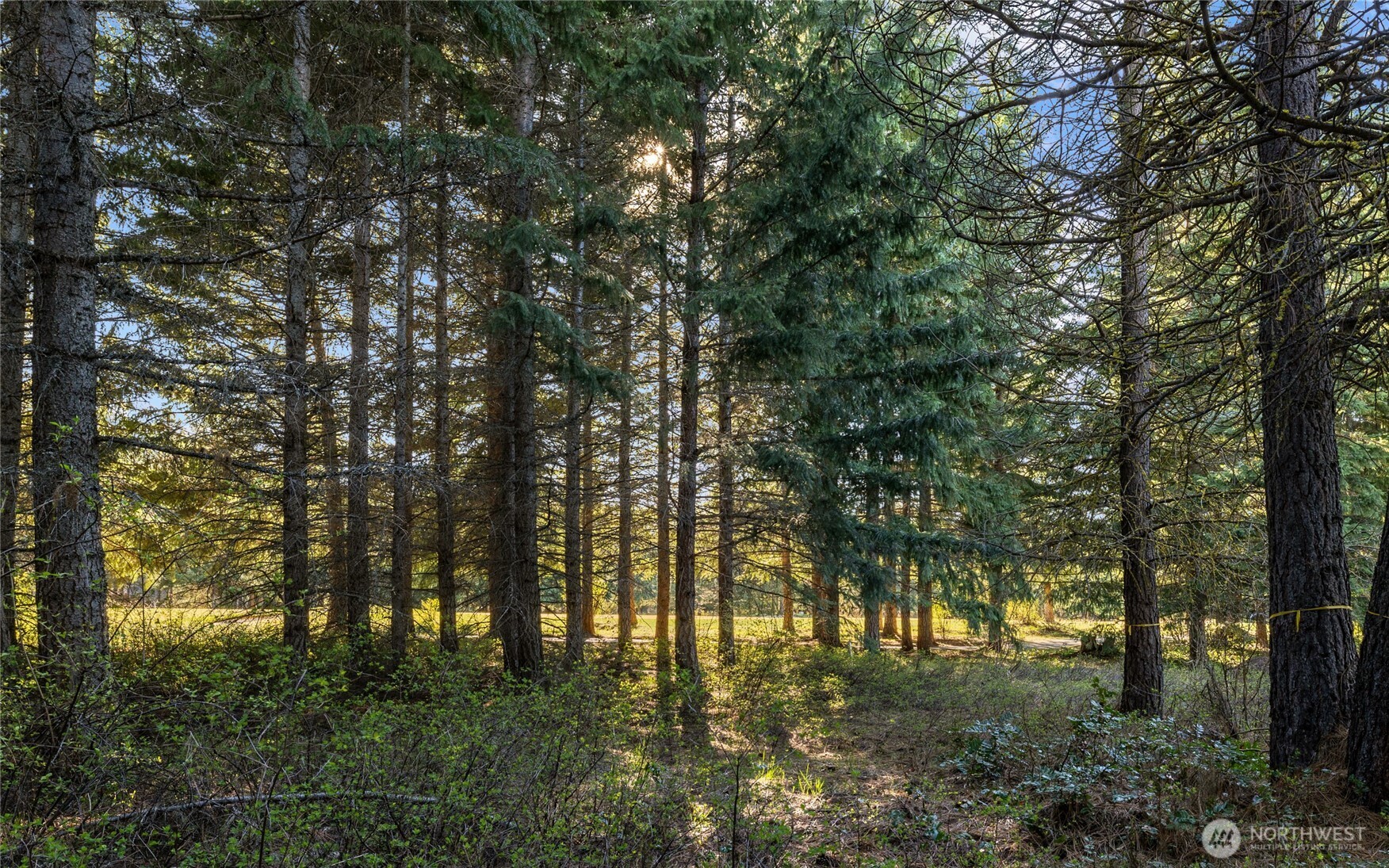 90 Gold Fountain Lane Cle Elum WA 98922