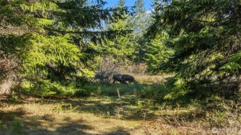 90 Gold Fountain Lane Cle Elum WA 98922