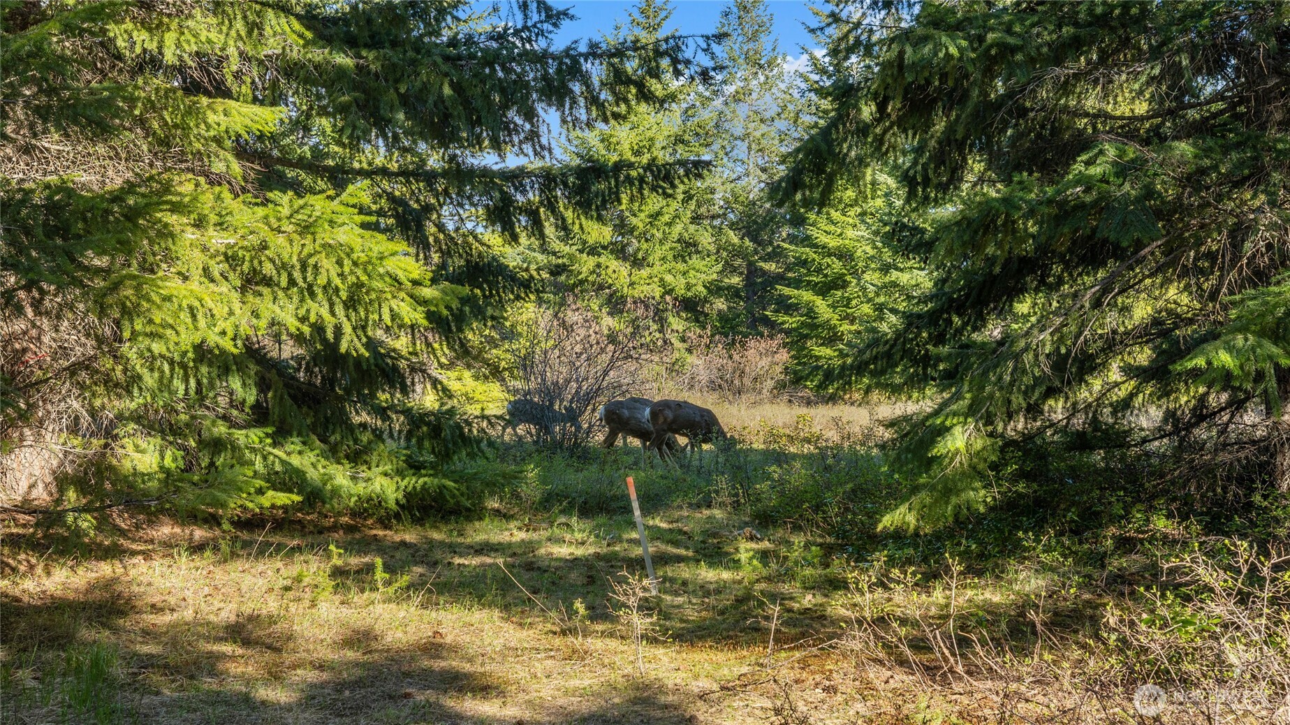 90 Gold Fountain Lane Cle Elum WA 98922
