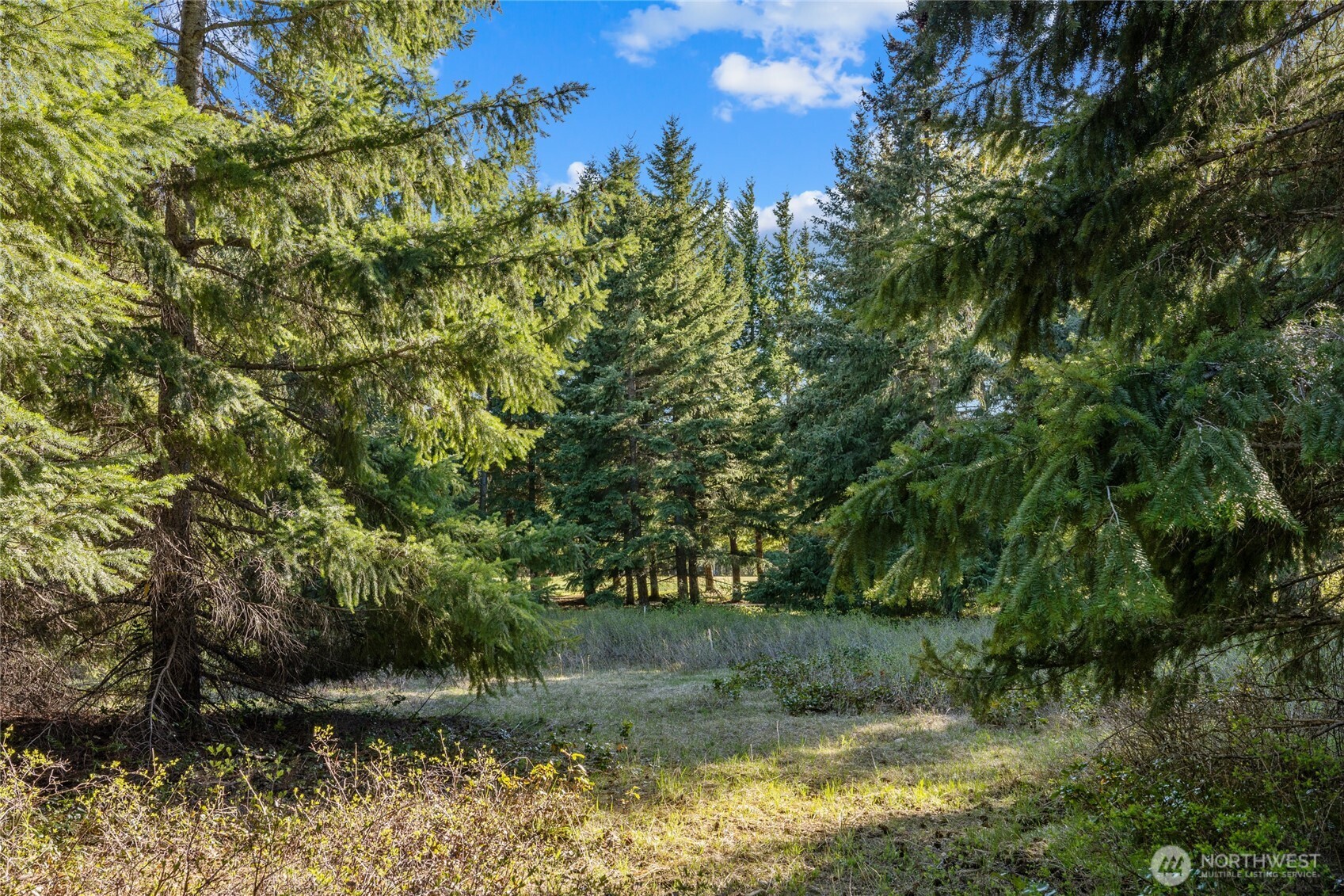 90 Gold Fountain Lane Cle Elum WA 98922