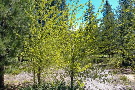 20685 Miracle Mile Leavenworth WA 98826