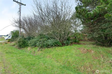 569 Canal Drive NE Ocean Shores WA 98569