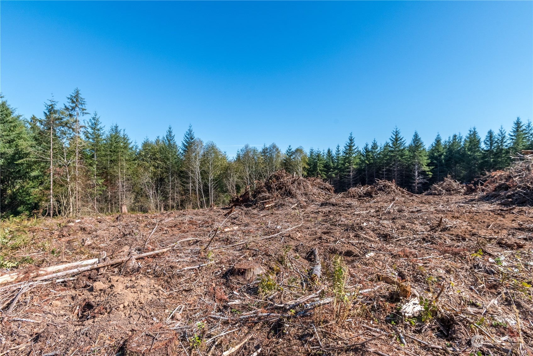 0 Hunter Road Longview WA 98632