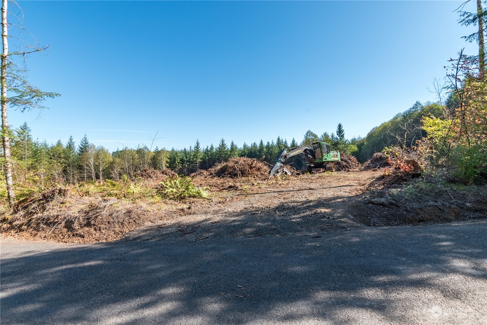 0 Hunter Road Longview WA 98632