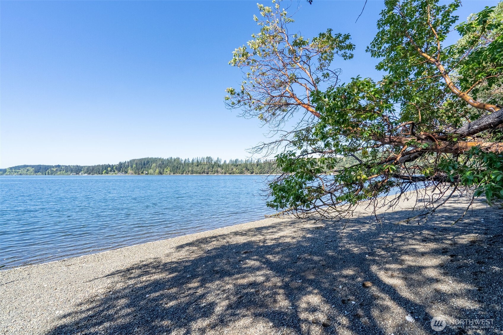 890 E Anchor View Lane Shelton WA 98584