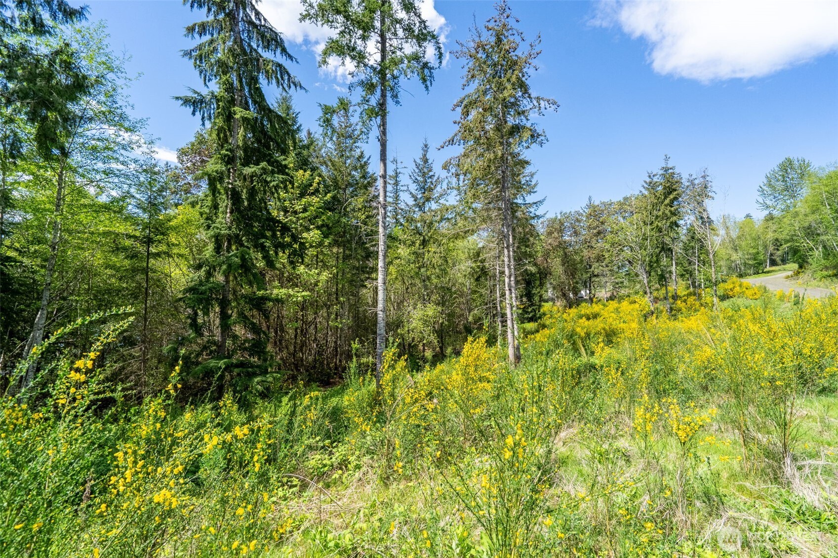 890 E Anchor View Lane Shelton WA 98584