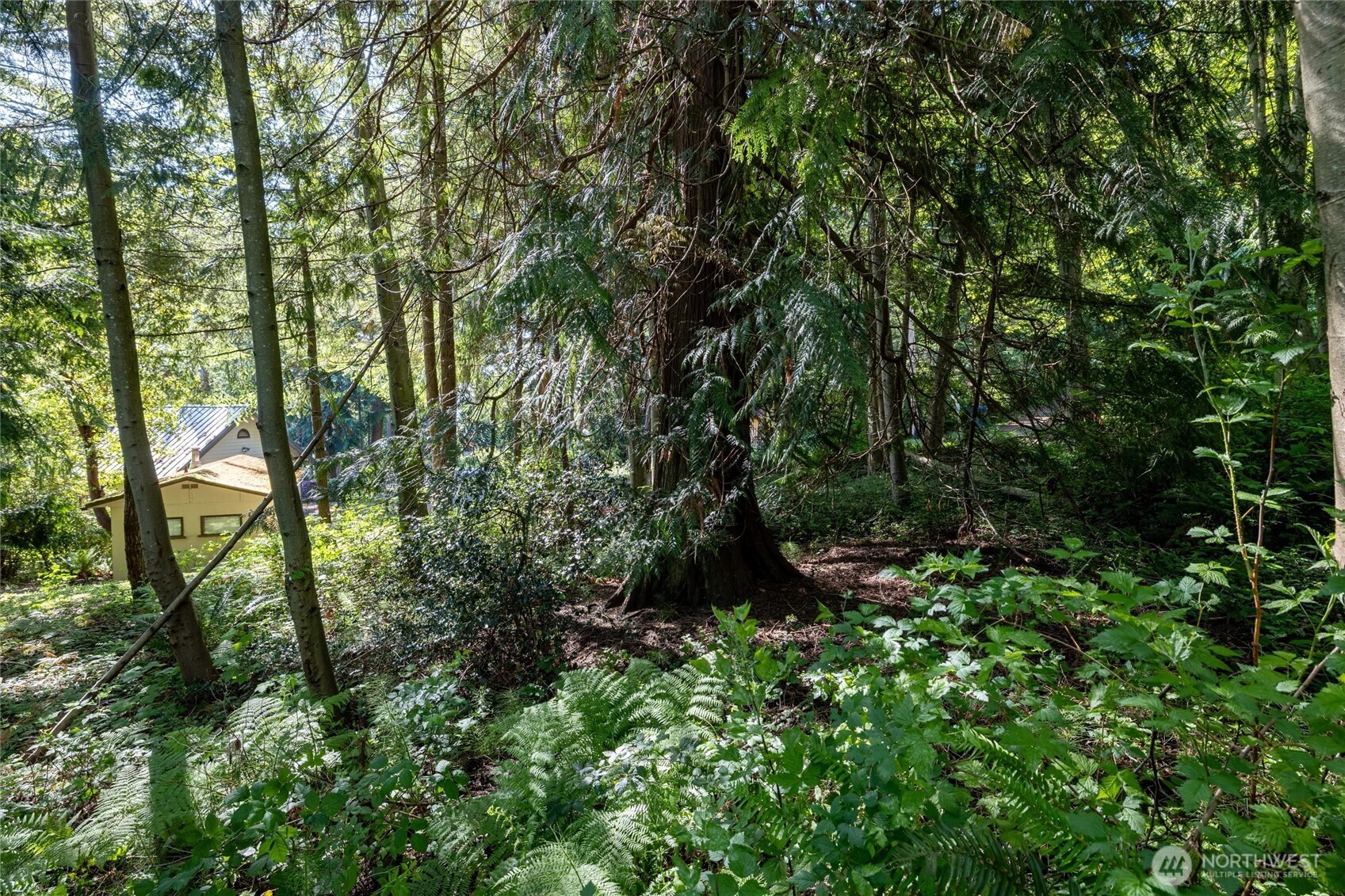 2868 Cedar Avenue Lummi Island WA 98262