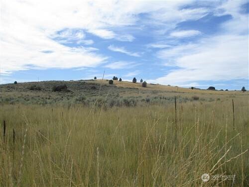 1 Road 20 (PEACH Rd) NW Mansfield WA 98830