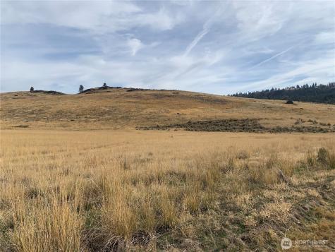 1 Road 20 (PEACH Rd) NW Mansfield WA 98830