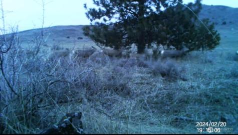 1 Road 20 (PEACH Rd) NW Mansfield WA 98830