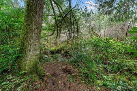 0 SW 220th Street Vashon WA 98070