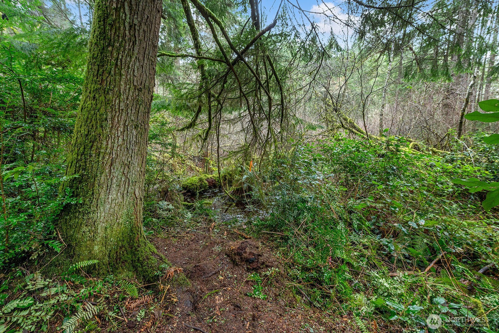 0 SW 220th Street Vashon WA 98070