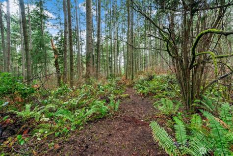 0 SW 220th Street Vashon WA 98070