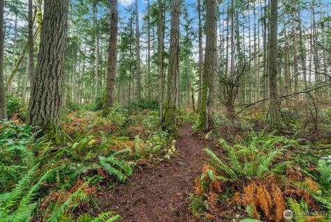 0 SW 220th Street Vashon WA 98070