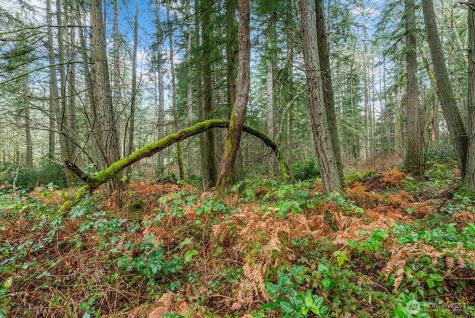 0 SW 220th Street Vashon WA 98070