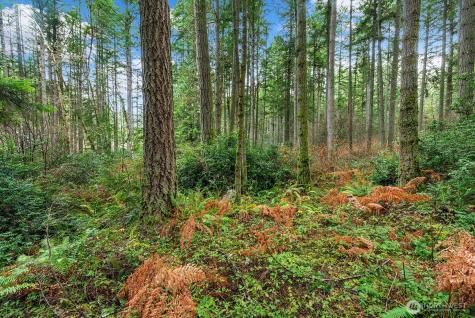 0 SW 220th Street Vashon WA 98070