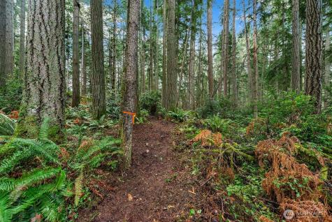 0 SW 220th Street Vashon WA 98070