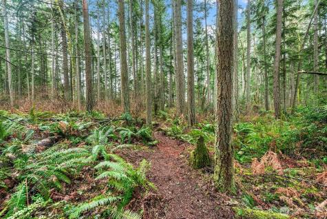 0 SW 220th Street Vashon WA 98070