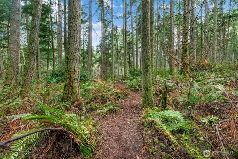 0 SW 220th Street Vashon WA 98070