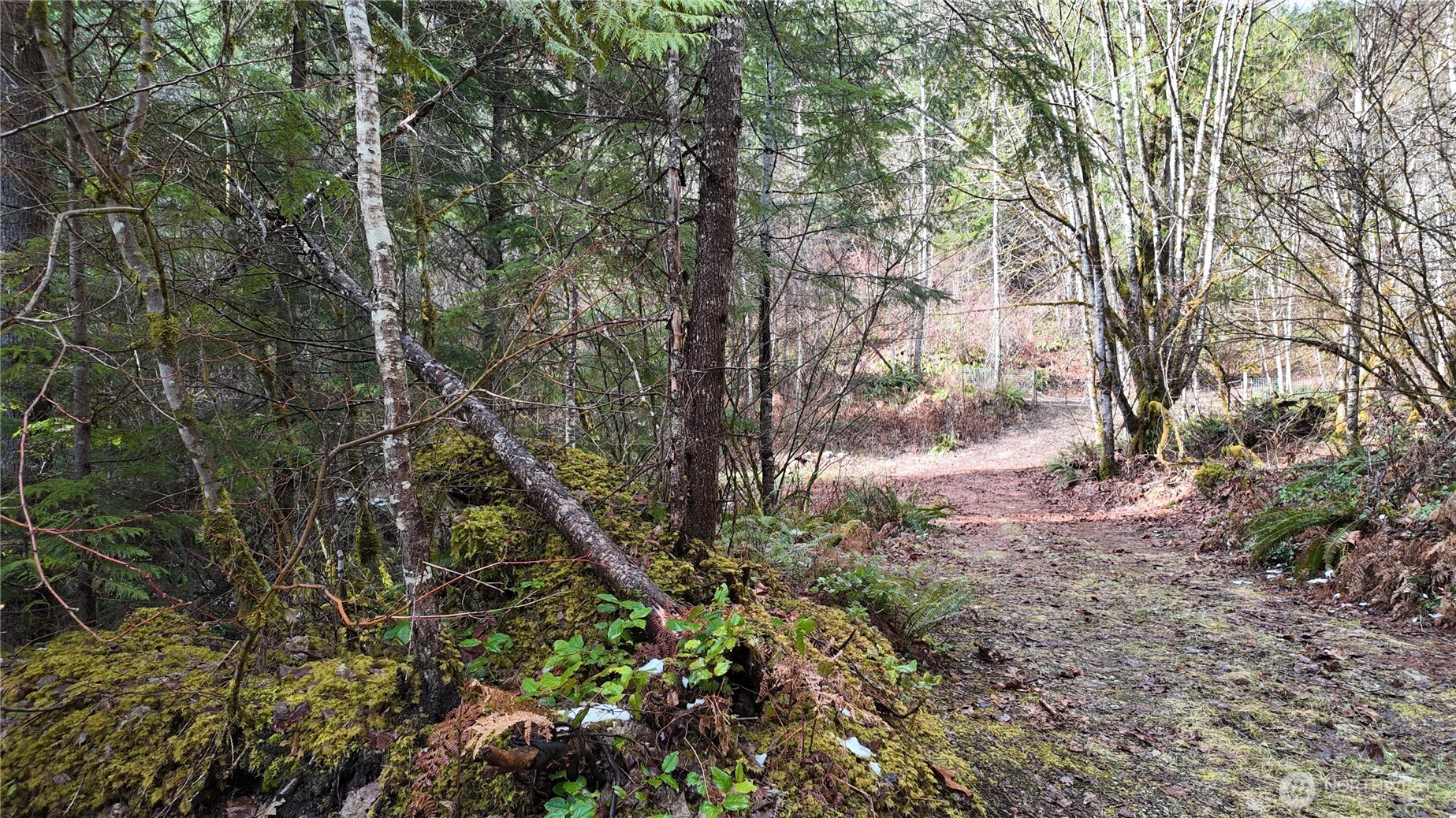 64084 Cascade River Road Marblemount WA 98267