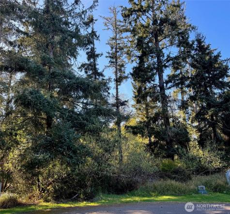 186 Murphy Court SE Ocean Shores WA 98569