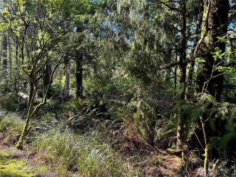 186 Murphy Court SE Ocean Shores WA 98569
