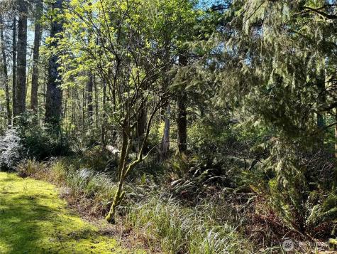 186 Murphy Court SE Ocean Shores WA 98569