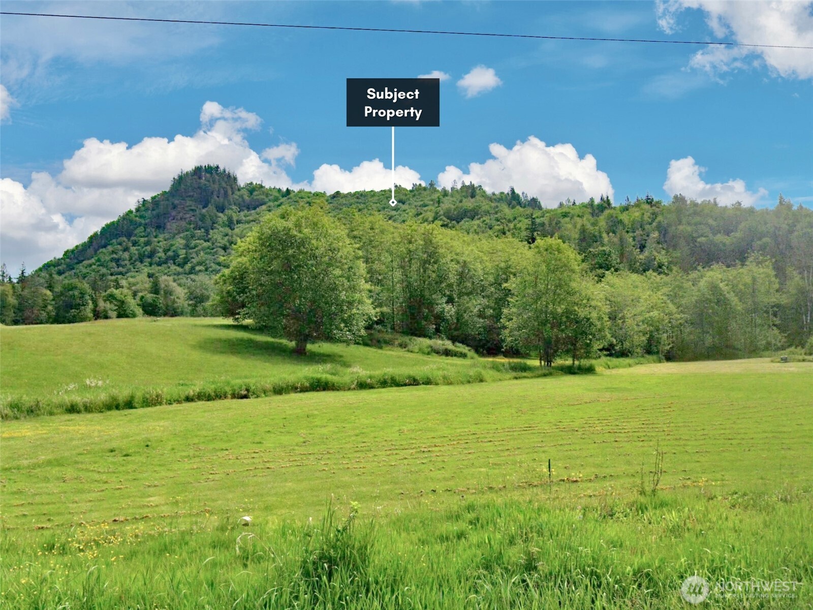 5615 S Pass Road Sumas WA 98295