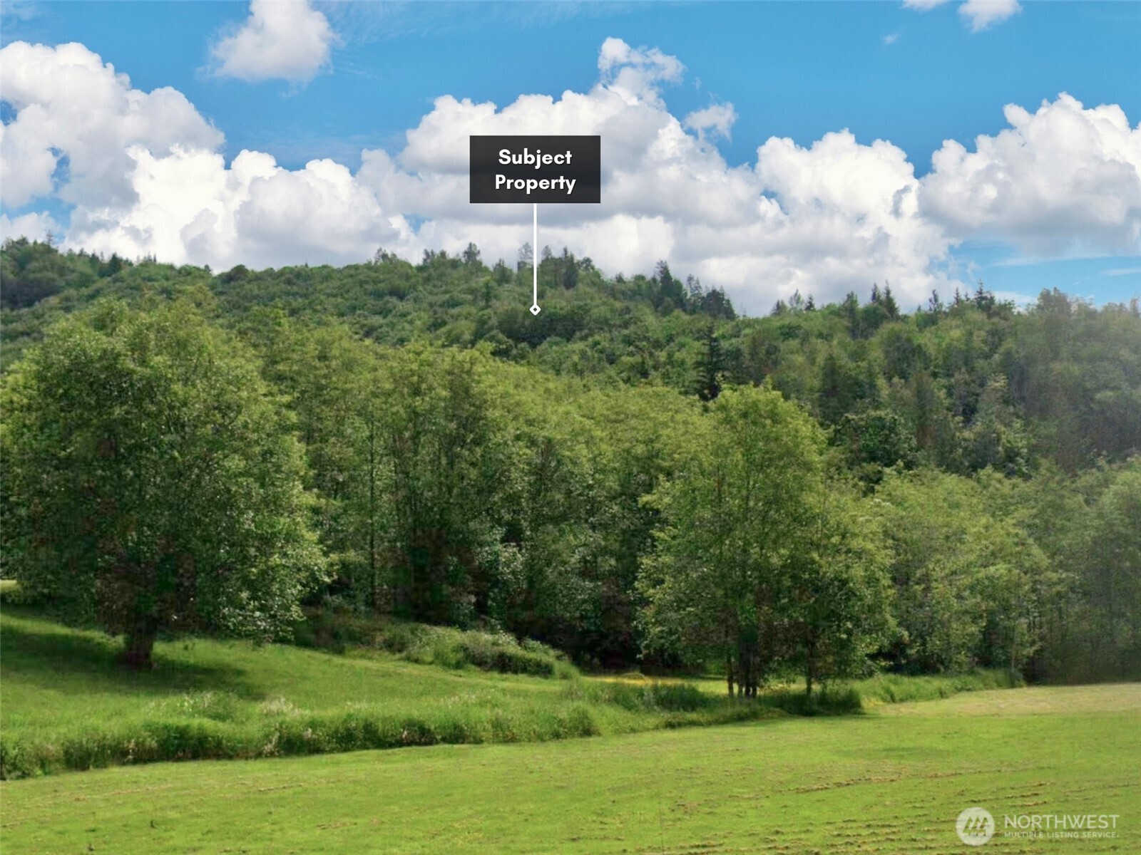 5615 S Pass Road Sumas WA 98295