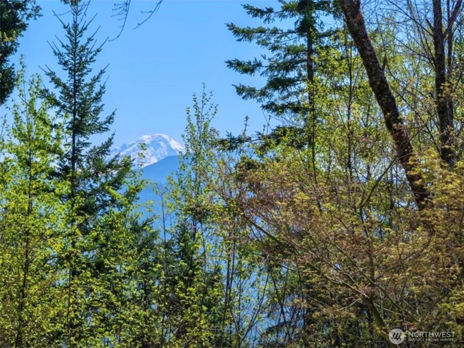 5615 S Pass Road Sumas WA 98295