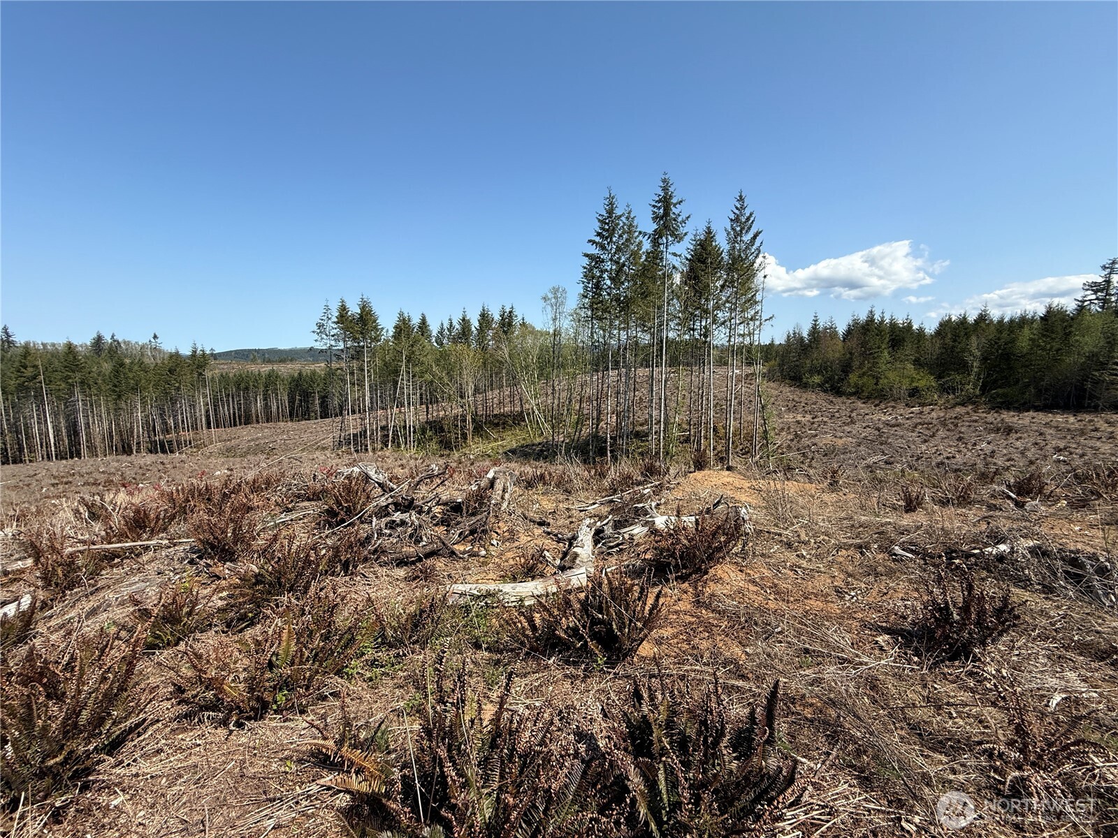 3 Centralia Alpha Road Onalaska WA 98570