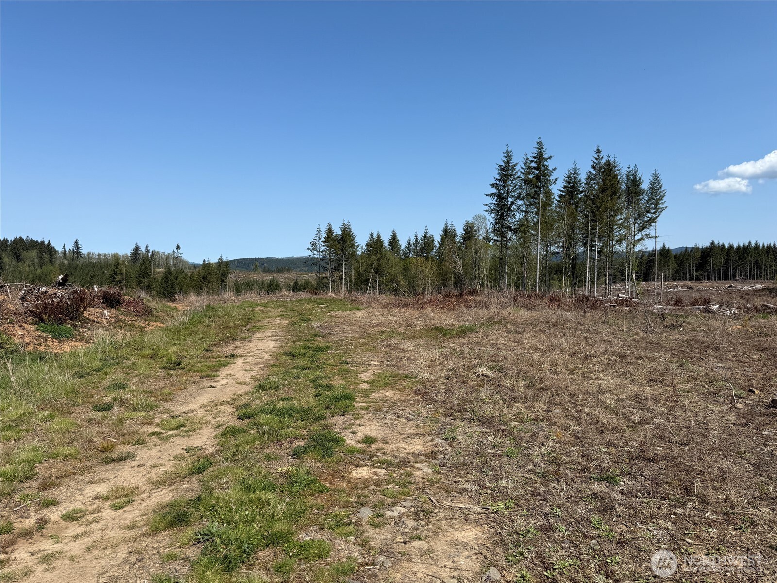 3 Centralia Alpha Road Onalaska WA 98570