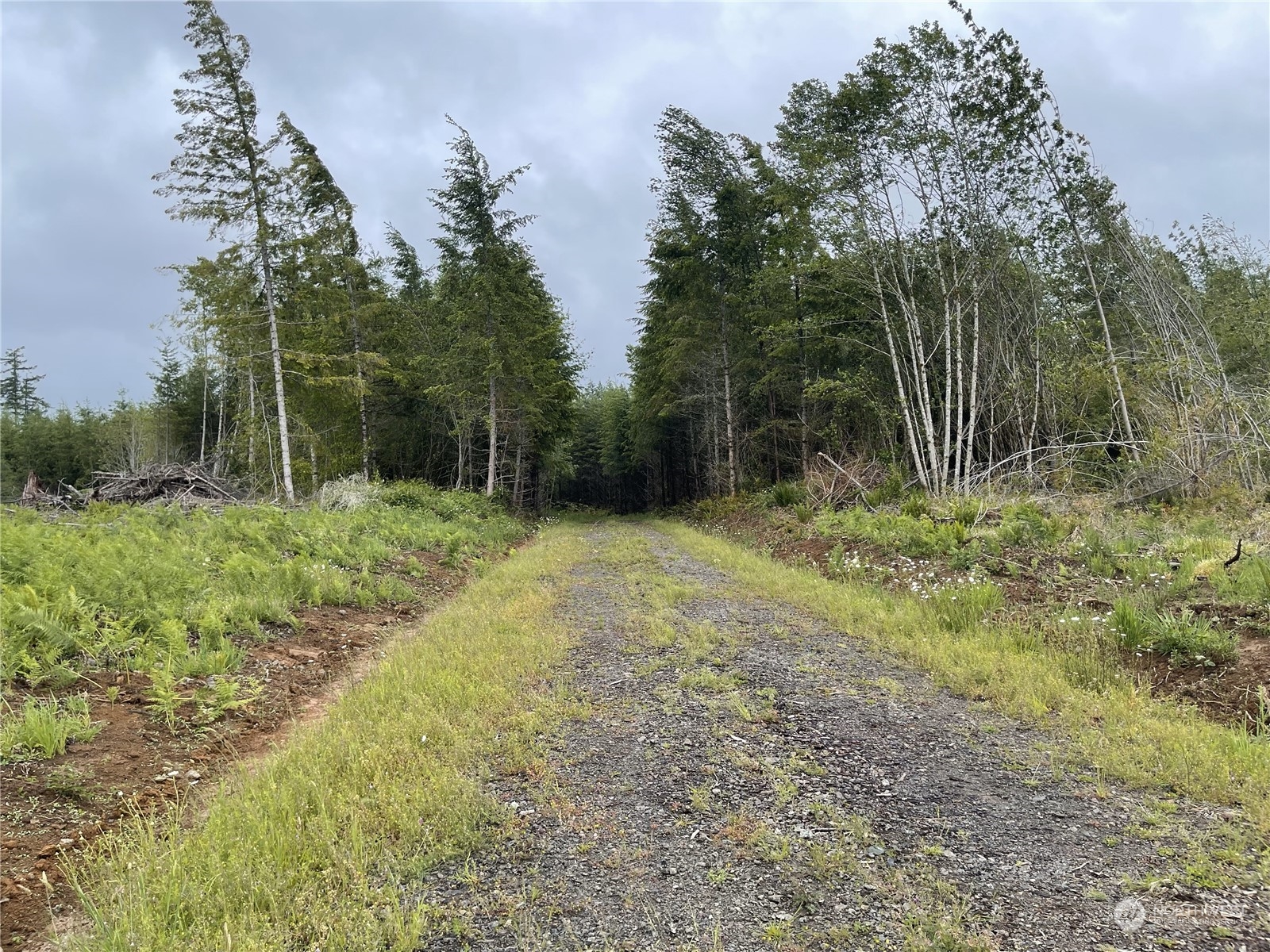 3 Centralia Alpha Road Onalaska WA 98570