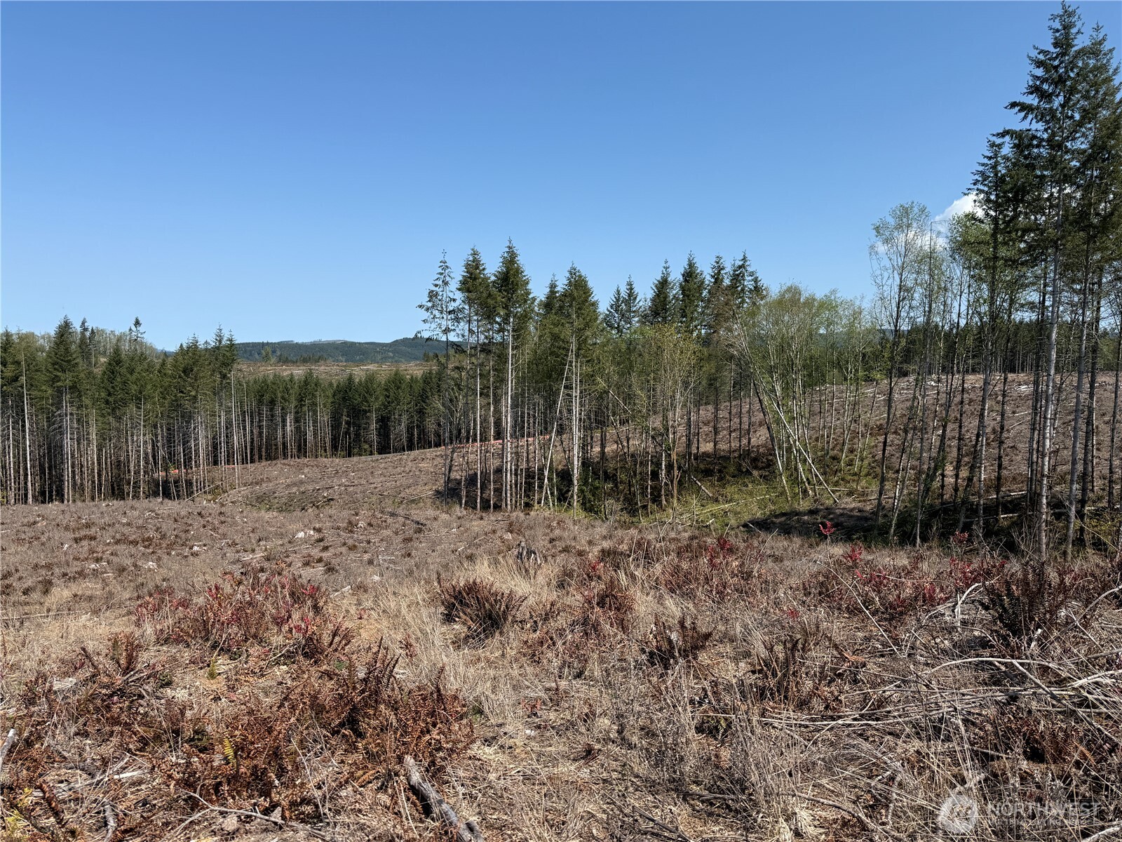 3 Centralia Alpha Road Onalaska WA 98570