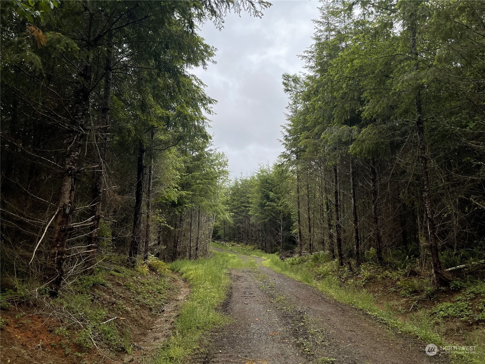 3 Centralia Alpha Road Onalaska WA 98570