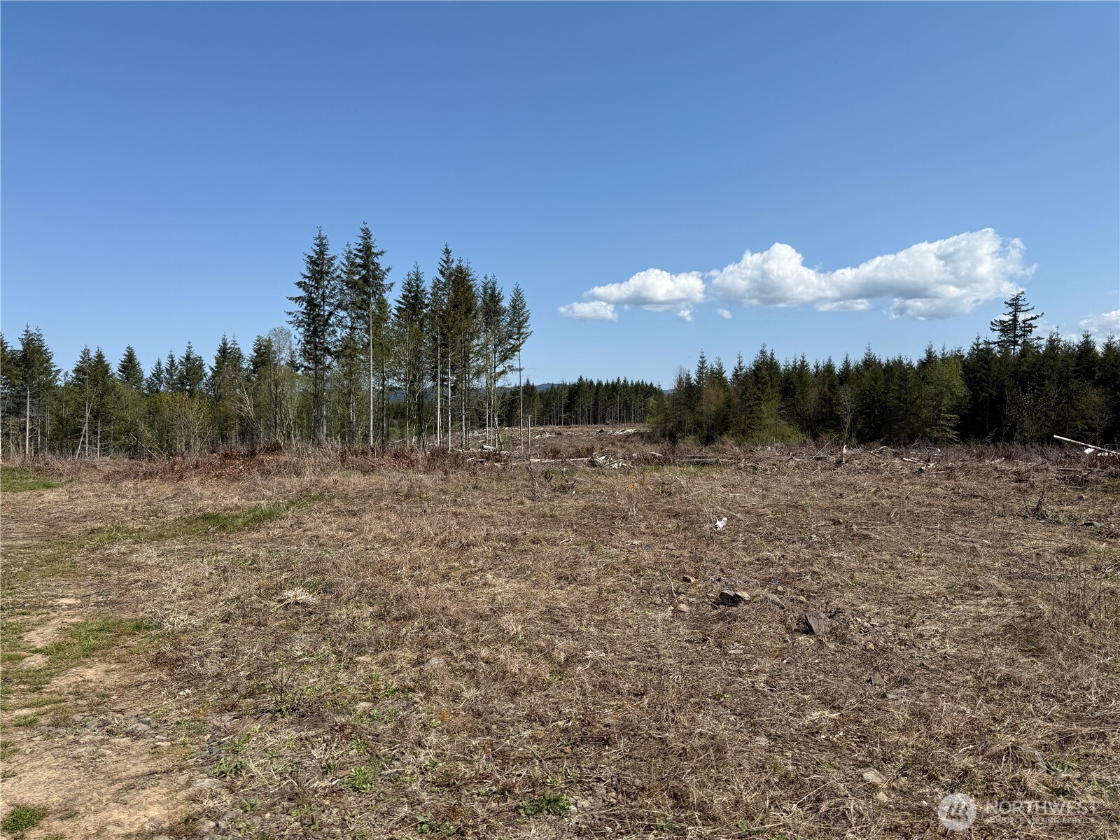 3 Centralia Alpha Road Onalaska WA 98570