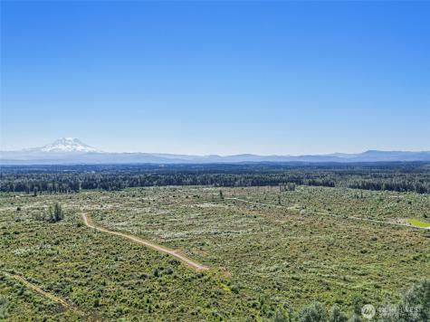1409 330th Street Court E Roy WA 98580