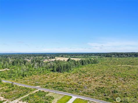 1409 330th Street Court E Roy WA 98580