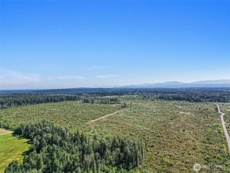 1409 330th Street Court E Roy WA 98580