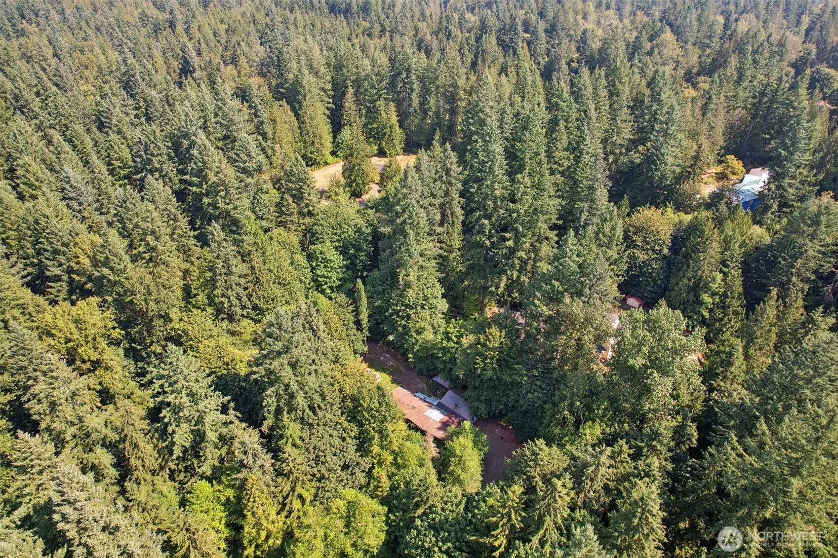 29021 NE 52nd Street Carnation WA 98014