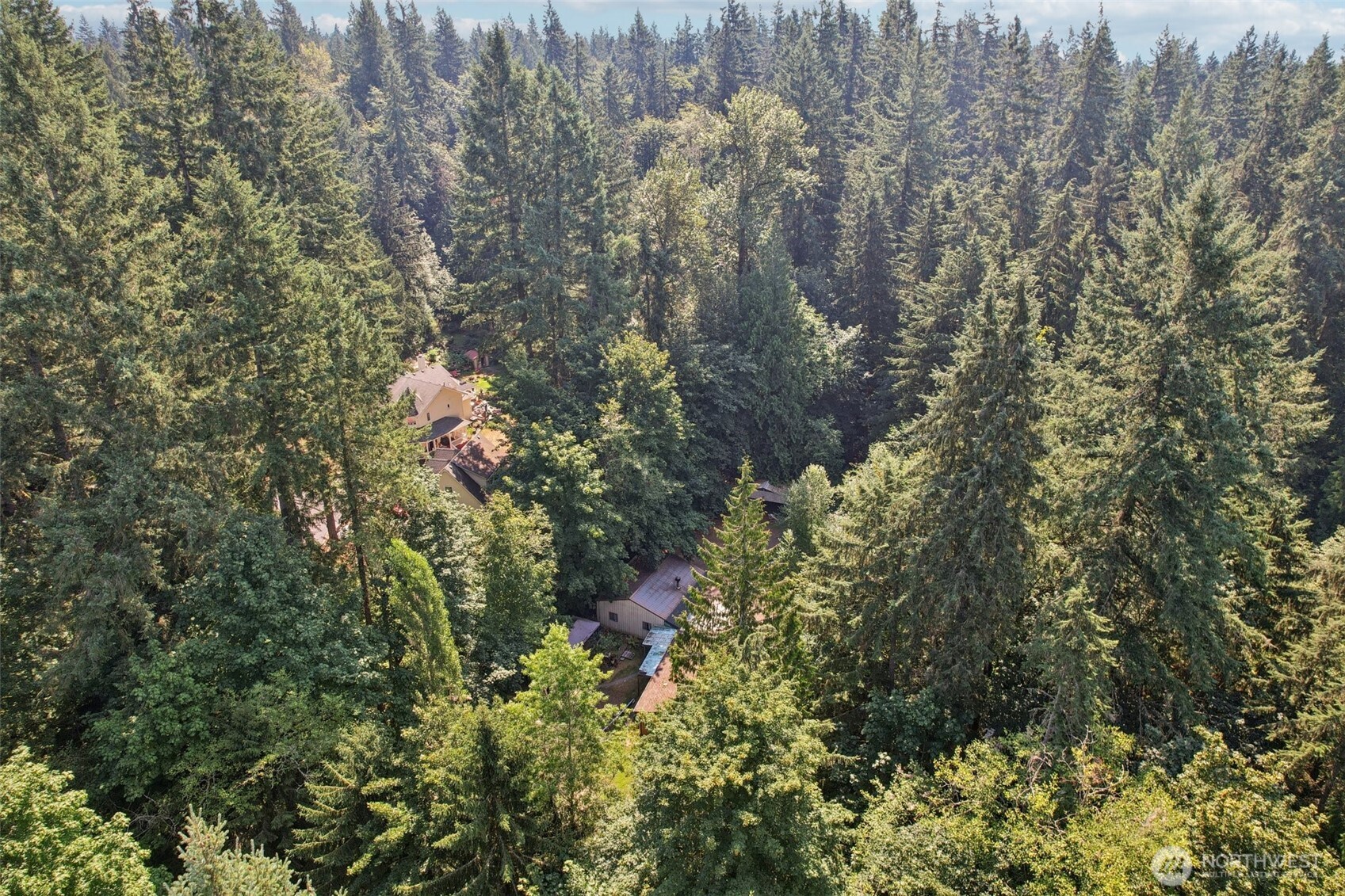29021 NE 52nd Street Carnation WA 98014