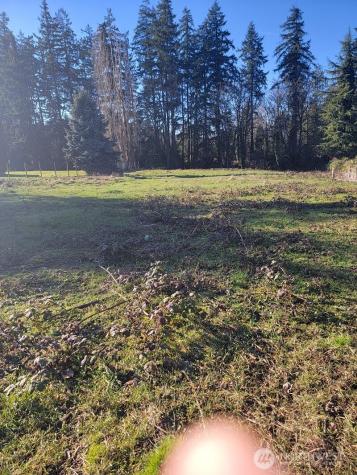 229 100th Avenue S Kent WA 98031