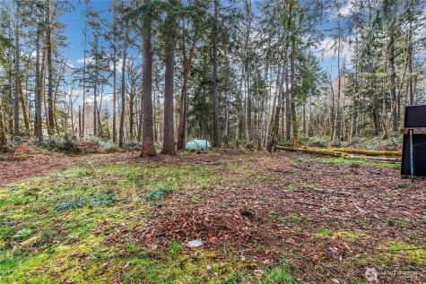 17124 80th Street SW Longbranch WA 98351