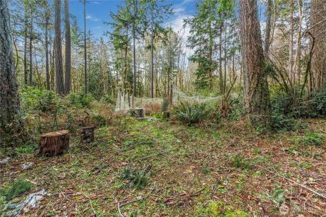 17124 80th Street SW Longbranch WA 98351