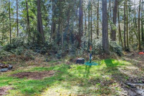 17124 80th Street SW Longbranch WA 98351