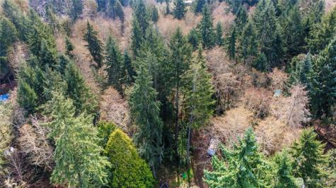 17124 80th Street SW Longbranch WA 98351